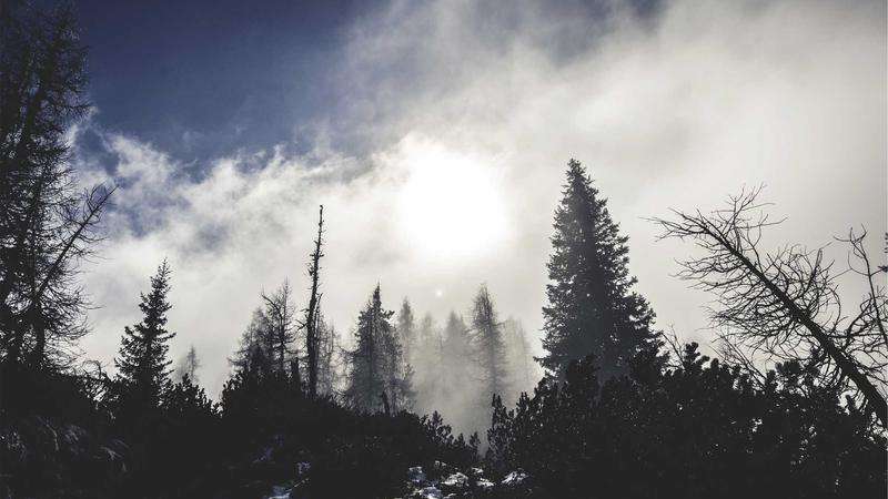 Top 5 Low-Interest Credit Cards for Debt Consolidation 2026 3 Person happily paying off debt using a credit card app