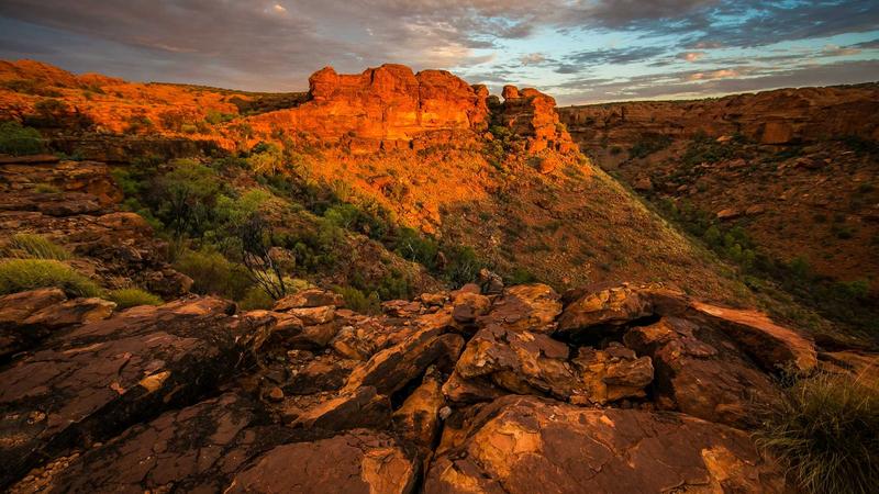 Best Business Credit Cards for Startups in 2025: Top 5 Picks 2 Business credit card rewards comparison