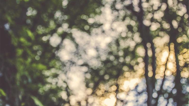 Best Rewards Credit Cards for Travel in 2025: Top 7 Picks 2 Traveler using credit card to book a flight online