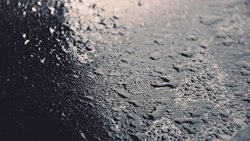 Small business owner reviewing credit card options