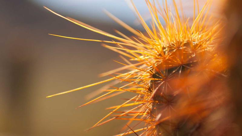 Person reviewing credit card offers on laptop