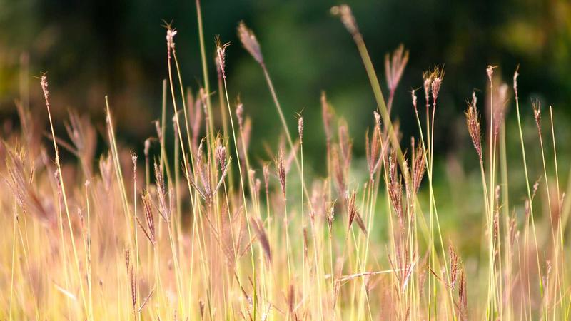 Small business credit card rewards dashboard