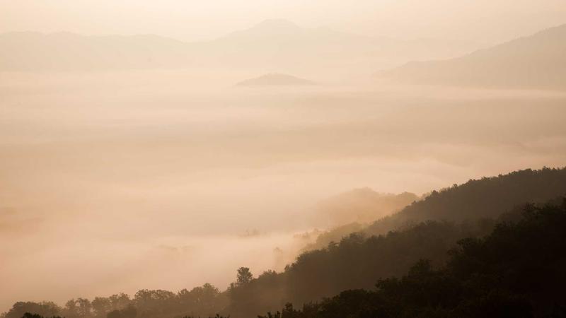 Business traveler using credit card at airport lounge
