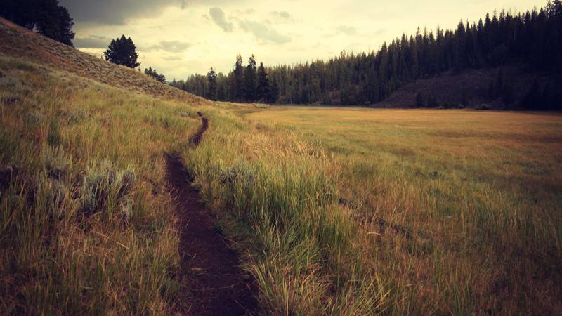 Best Credit Cards for Travel Rewards in 2026: Top 10 Picks 1 Traveler enjoying airport lounge