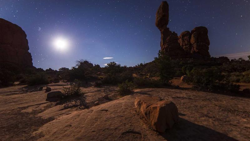 Cash Back vs Rewards Credit Cards: Which Is Better in 2026? 1 Variety of credit cards laid out on a table