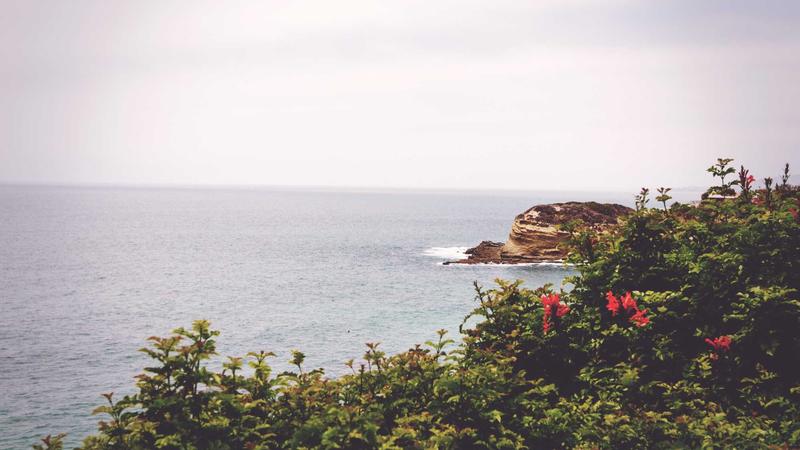 Chase Sapphire Preferred and Capital One Venture credit cards side by side