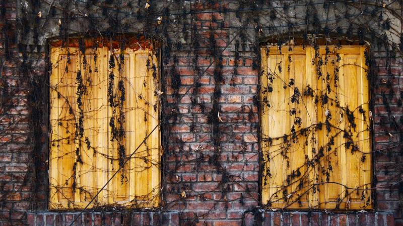 Chase Ink Business Preferred credit card in hand