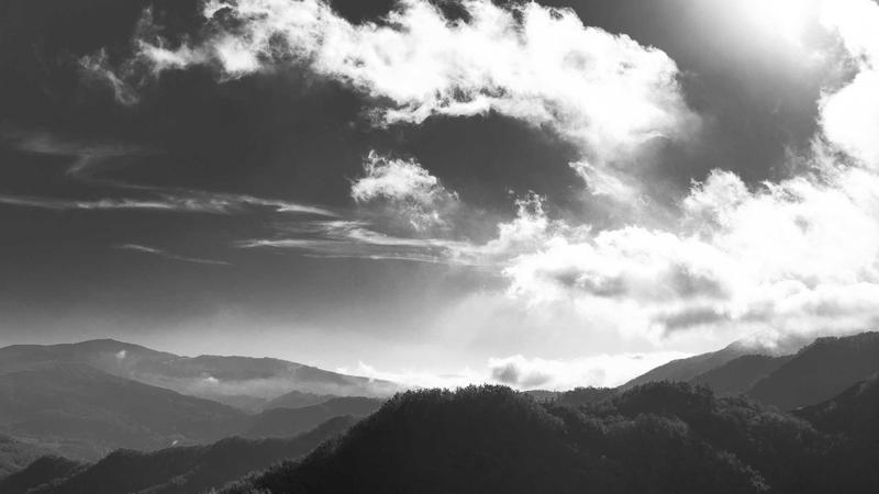 Person using credit card app on smartphone