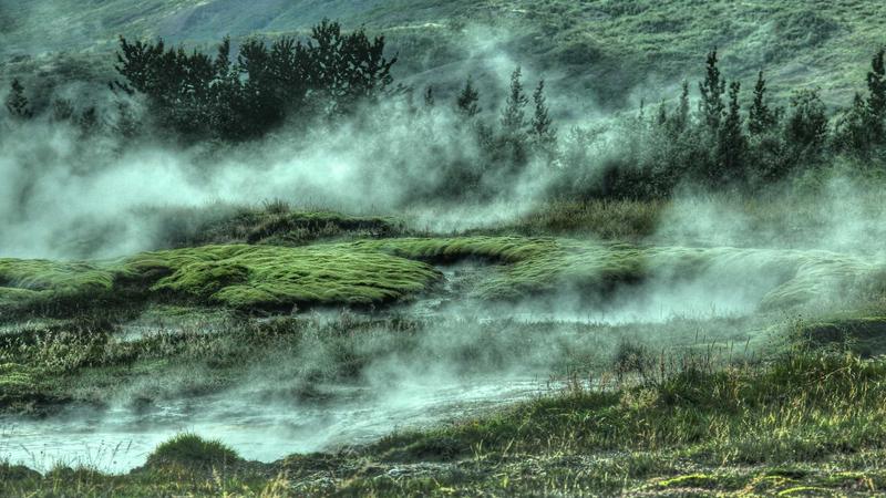 Person happily reviewing credit card offers on laptop