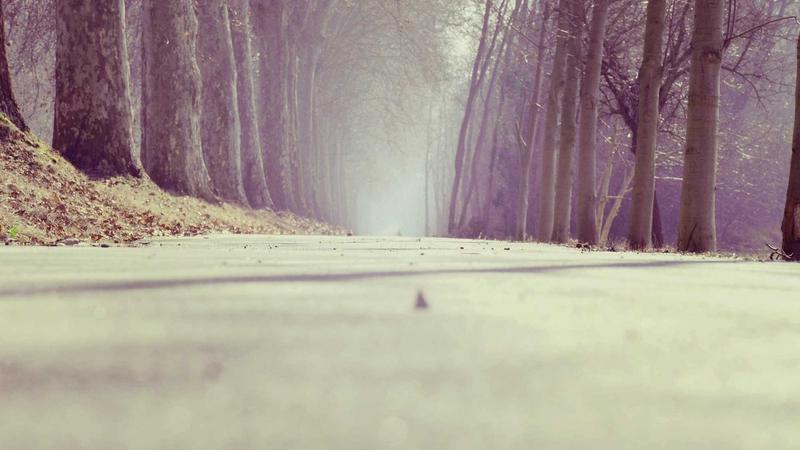 Business Credit Card vs Business Loan: Which Is Better in 2026? 3 Small business owner reviewing finances