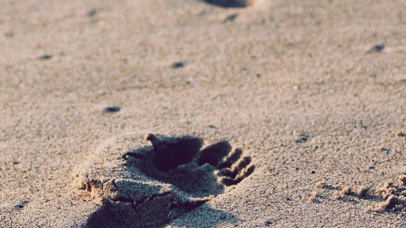 Credit cards with cash back and points rewards