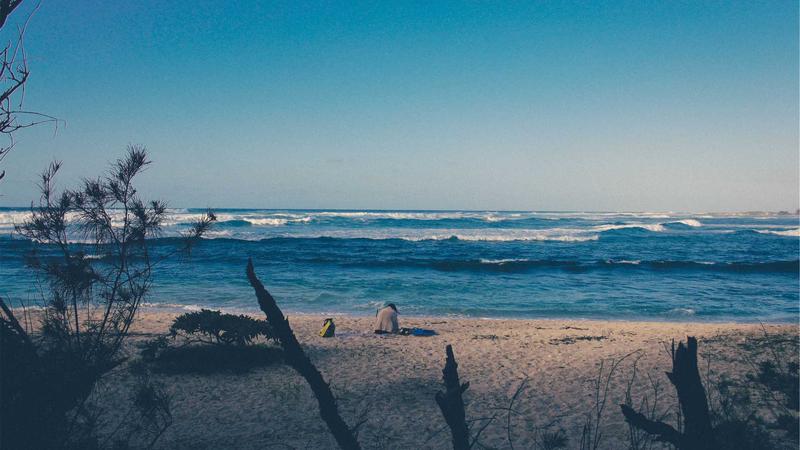 How to Maximize Travel Rewards in 2025 with Credit Cards 1 Traveler holding credit cards with airplane in background