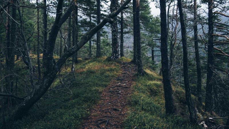 Capital One Venture X Card Review: Is It Worth It in 2026? 1 Capital One Venture X credit card on wooden table