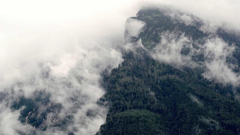 Entrepreneur comparing credit card offers on laptop