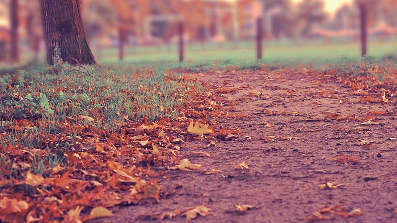 Best Credit Cards for Building Credit with Low Interest Rates 2026 1 Person juggling flaming chainsaws metaphor for building credit