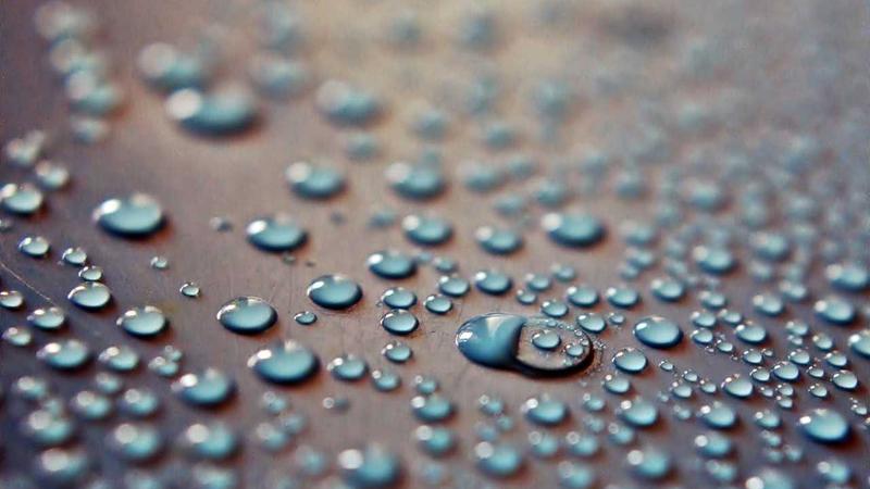 Cash Back vs Rewards Credit Cards: Which Is Better in 2026? 3 Happy traveler holding credit card at airport