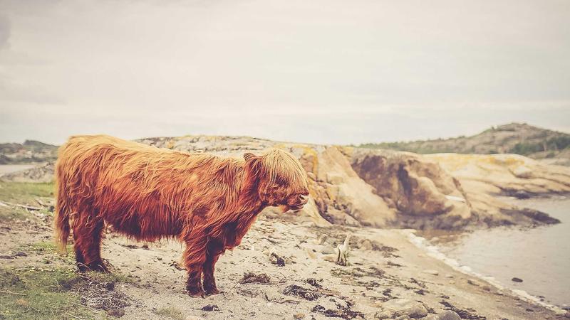 Capital One Venture X Card Review: Is It Worth It in 2026? 2 Airport lounge seating area with travelers relaxing